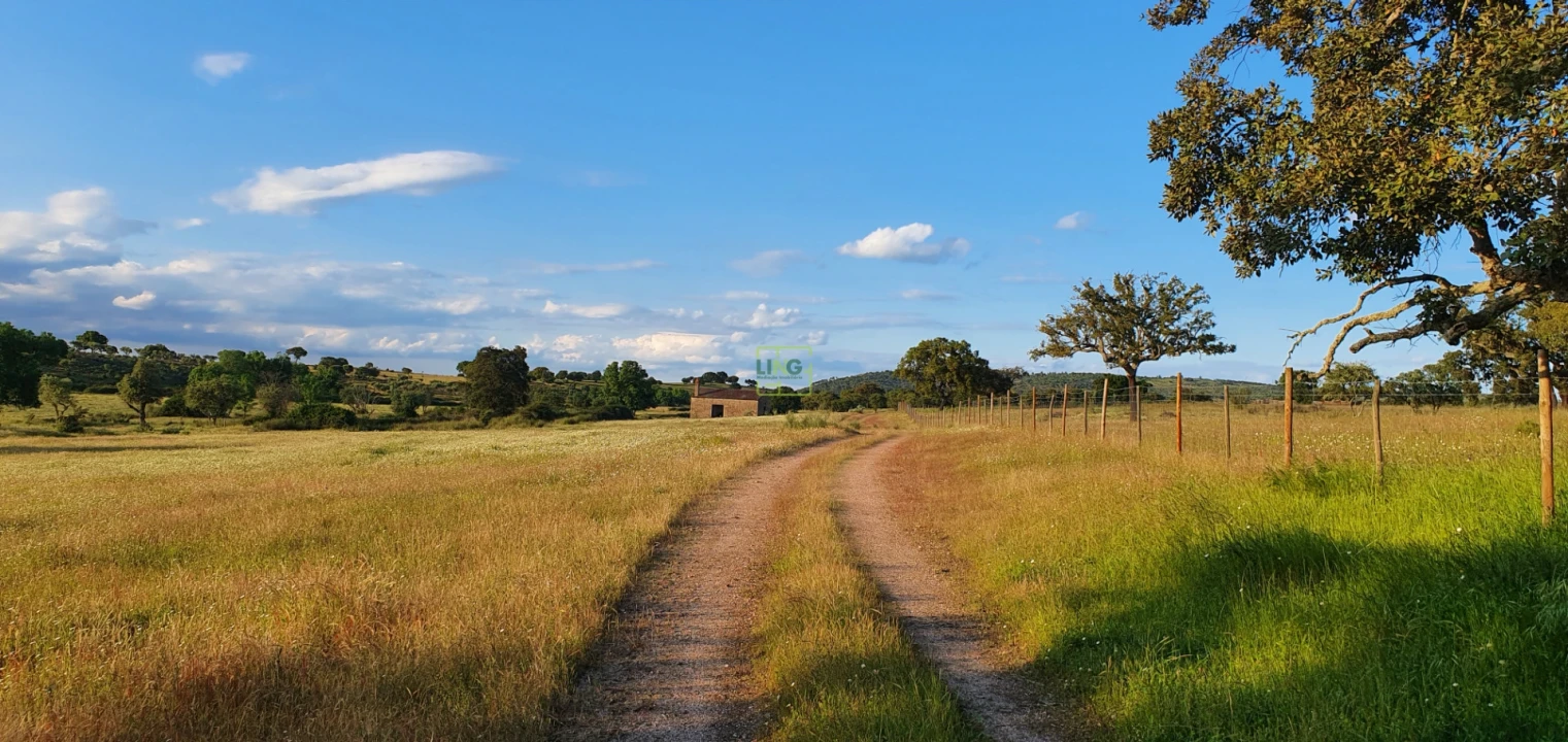Quinta T7 para Venda em Malpica do Tejo Foto 86