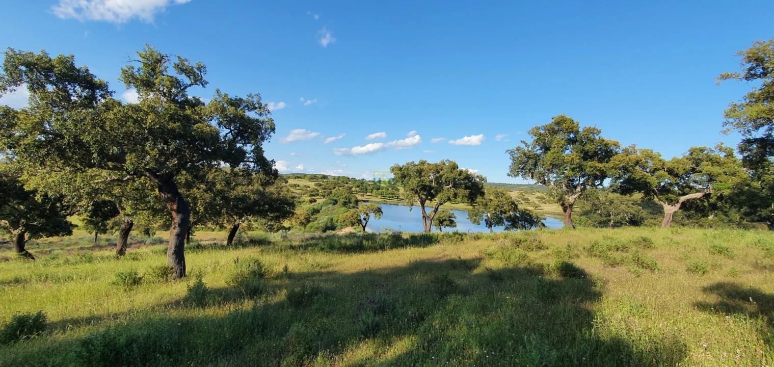 Quinta T7 para Venda em Malpica do Tejo Foto 47