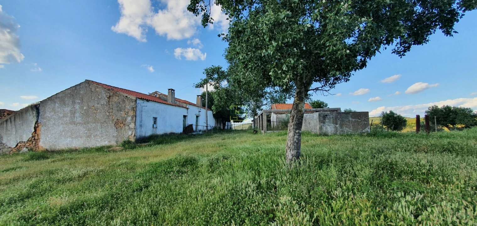 Quinta T7 para Venda em Malpica do Tejo Foto 34