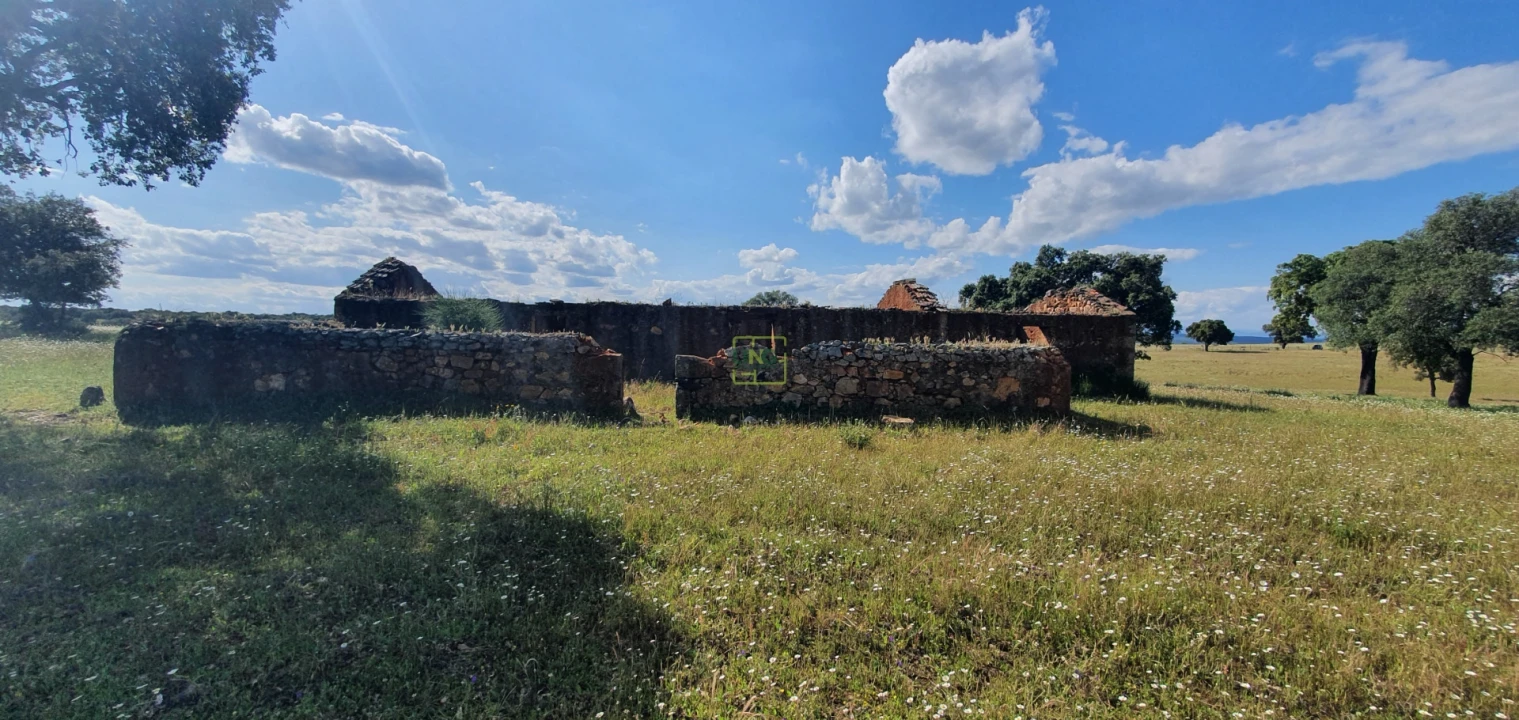 Quinta T7 para Venda em Malpica do Tejo Foto 6