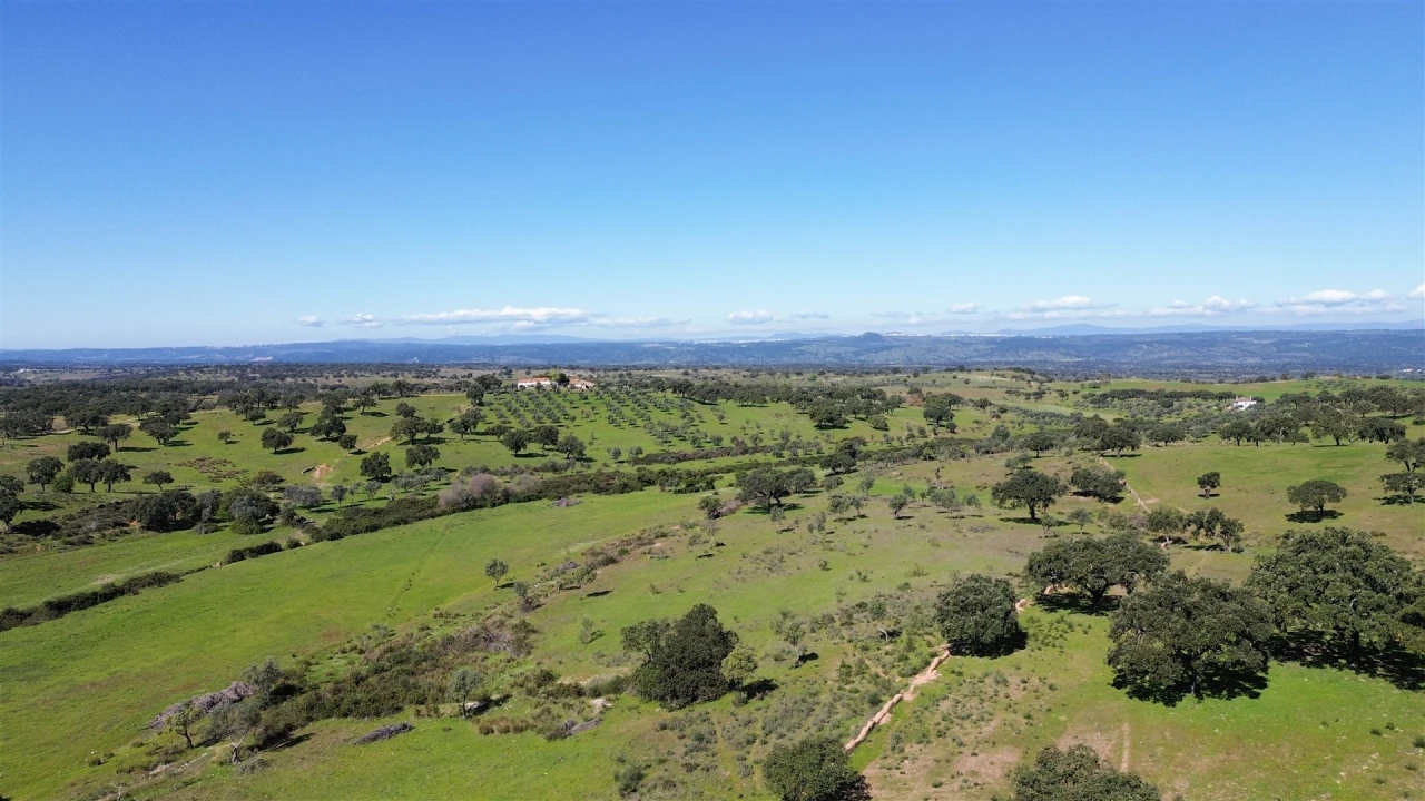 Quinta T7 para Venda em Malpica do Tejo Foto 117