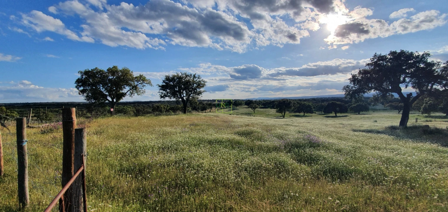 Quinta T7 para Venda em Malpica do Tejo Foto 50