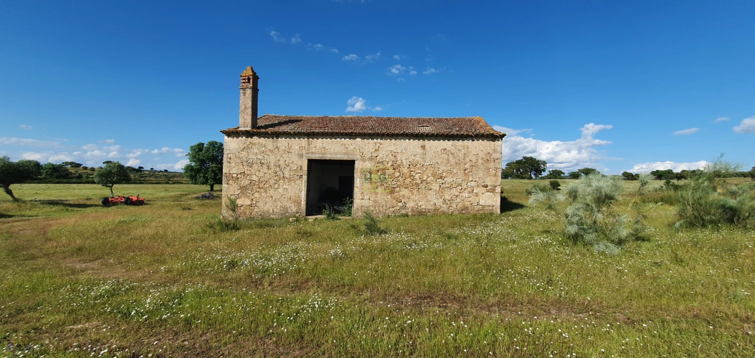 Quinta T7 para Venda em Malpica do Tejo Foto 19