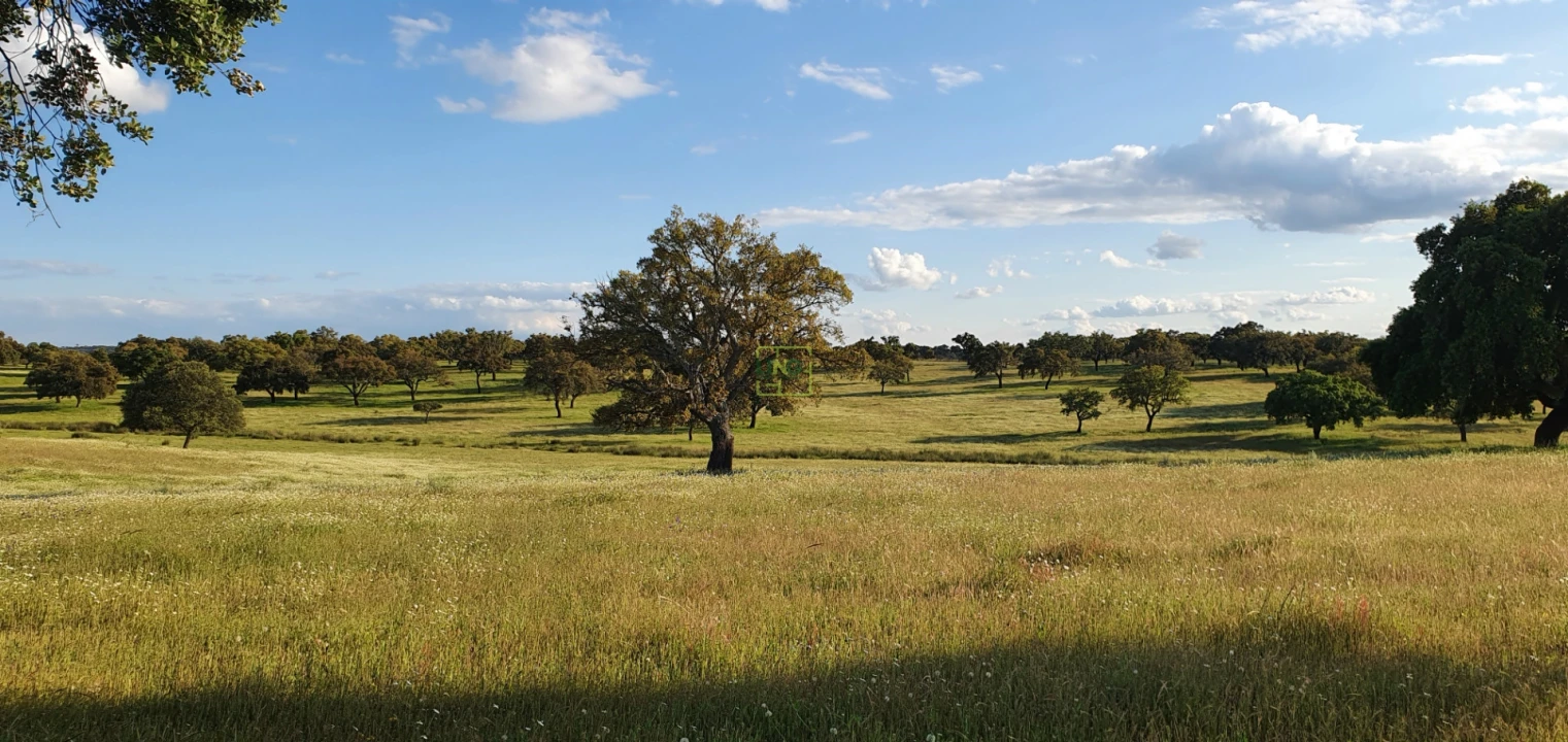 Quinta T7 para Venda em Malpica do Tejo Foto 67