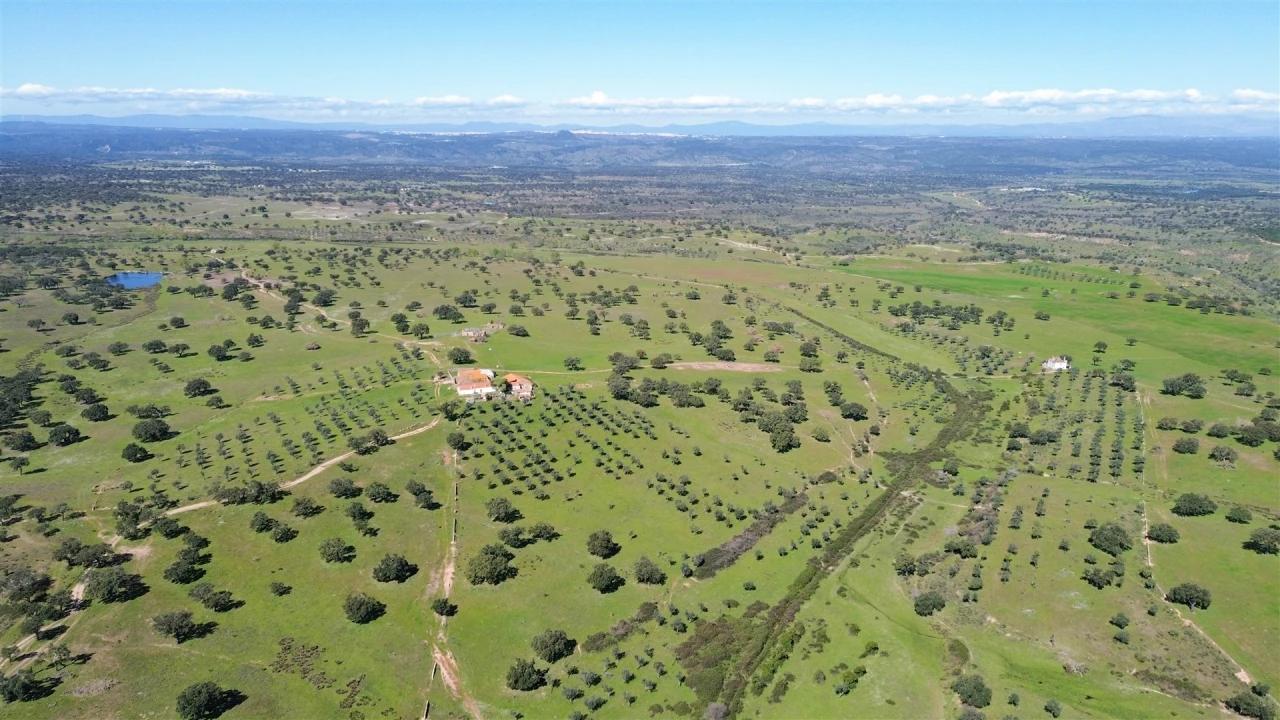 Quinta T7 para Venda em Malpica do Tejo Foto 131