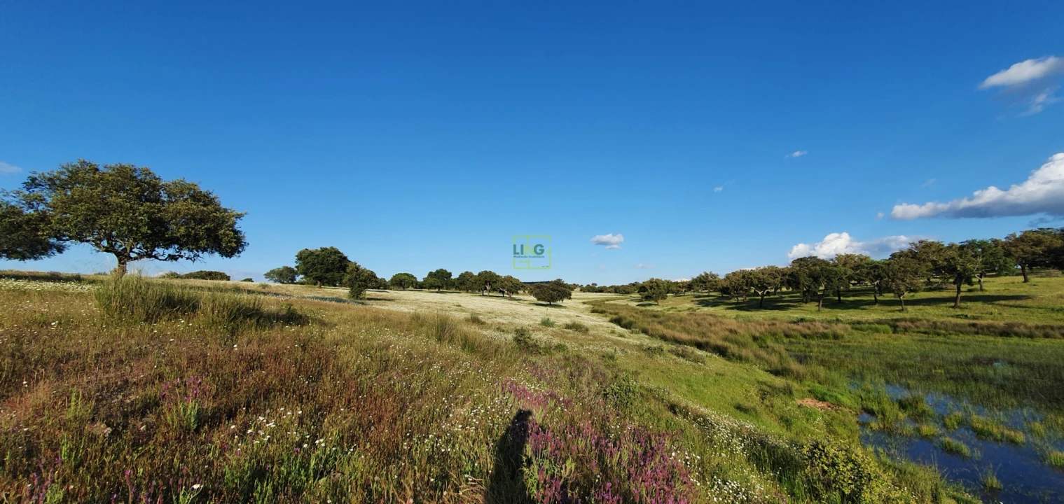 Quinta T7 para Venda em Malpica do Tejo Foto 79