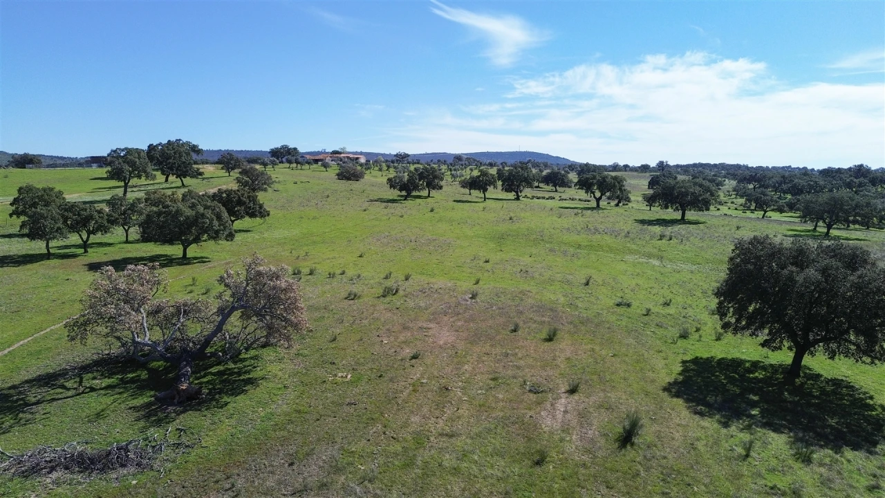 Quinta T7 para Venda em Malpica do Tejo Foto 109