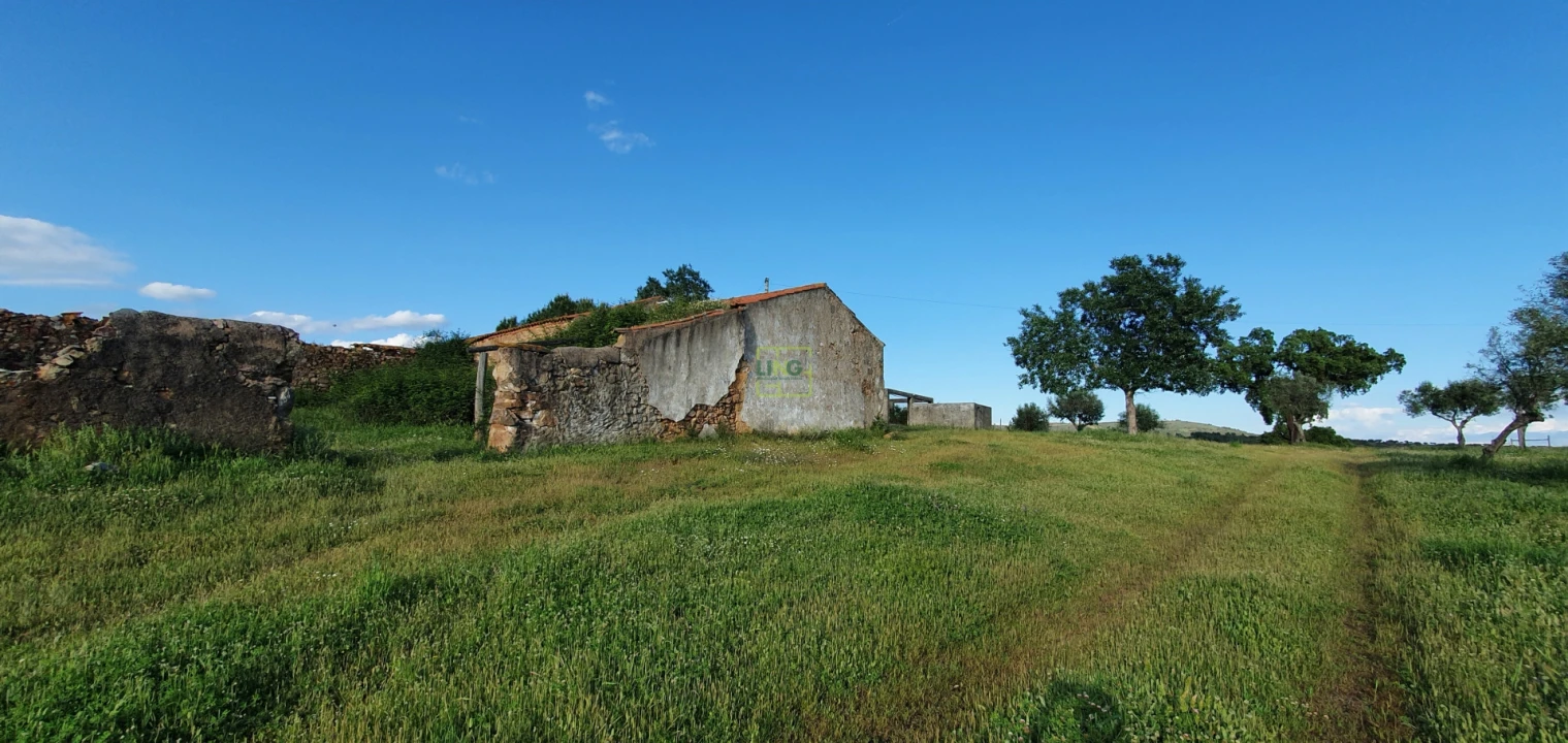 Quinta T7 para Venda em Malpica do Tejo Foto 53