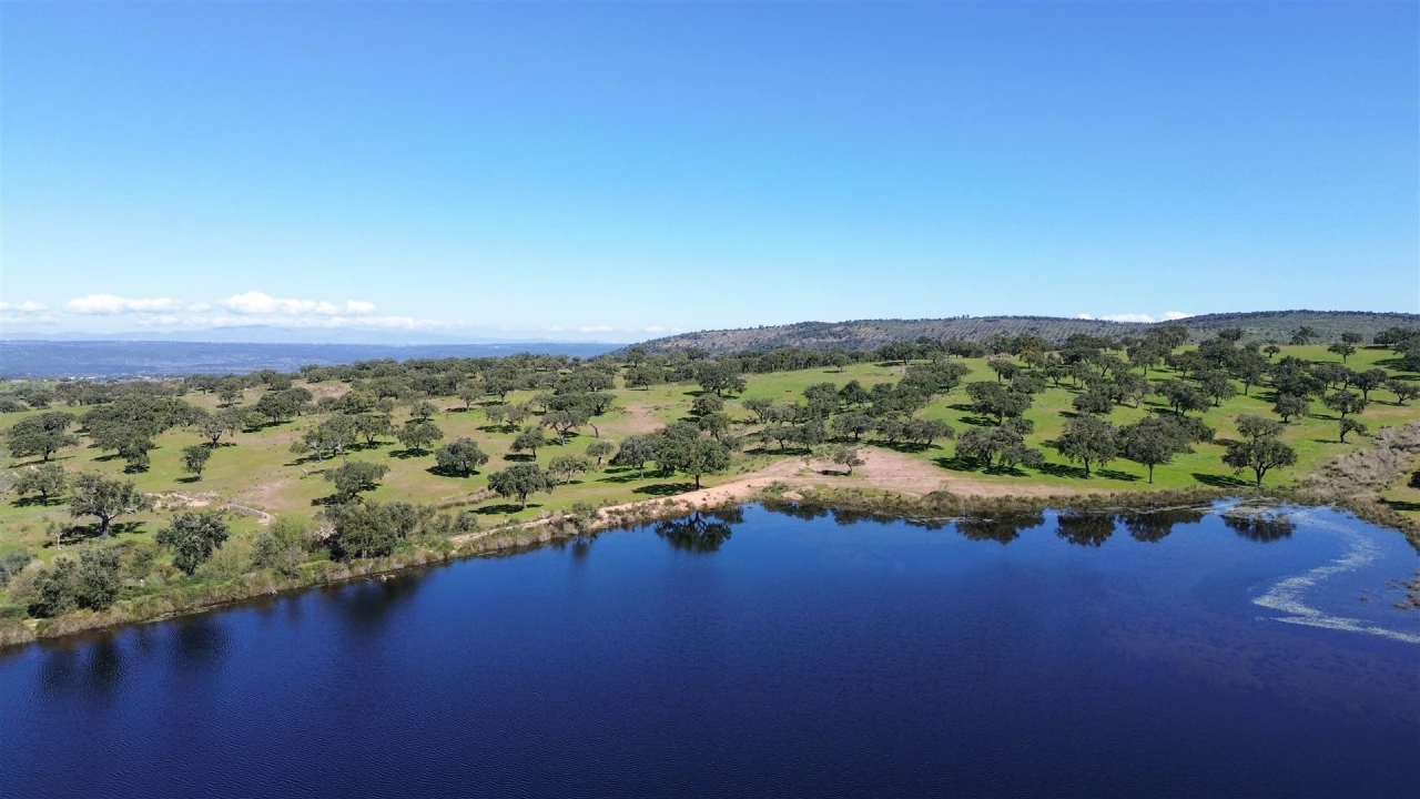 Quinta T7 para Venda em Malpica do Tejo Foto 115