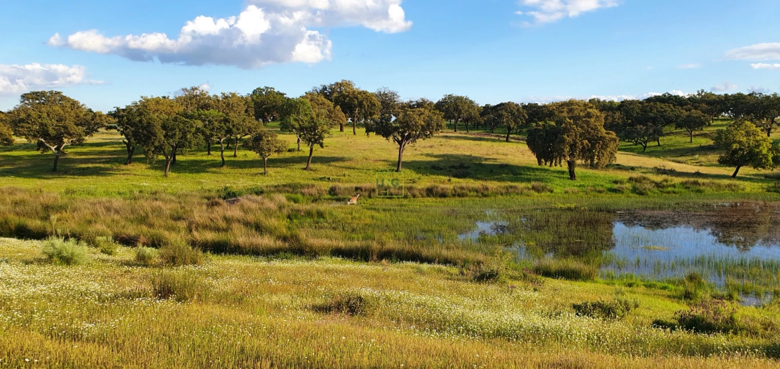 Quinta T7 para Venda em Malpica do Tejo Foto 77