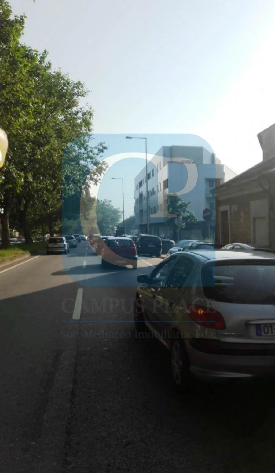 Terreno para Venda em Paranhos Foto 1