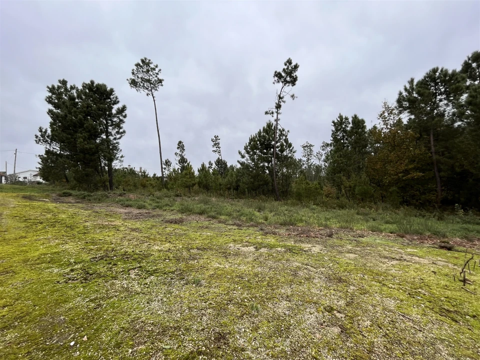 Terreno para Venda em Rio de Loba Foto 4