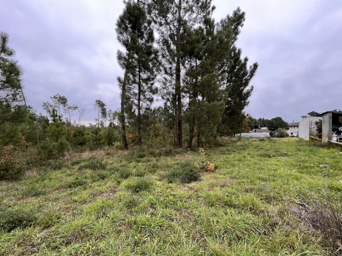 Terreno para Venda em Rio de Loba Foto 5