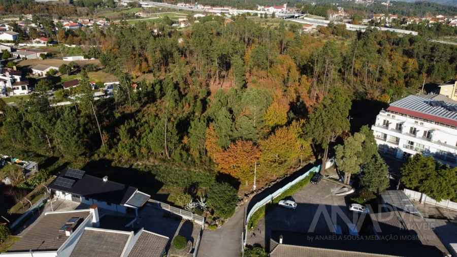Terreno para Venda em Rio de Loba Foto 13