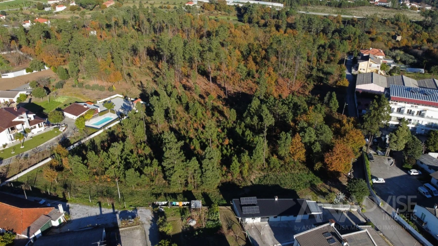 Terreno para Venda em Rio de Loba