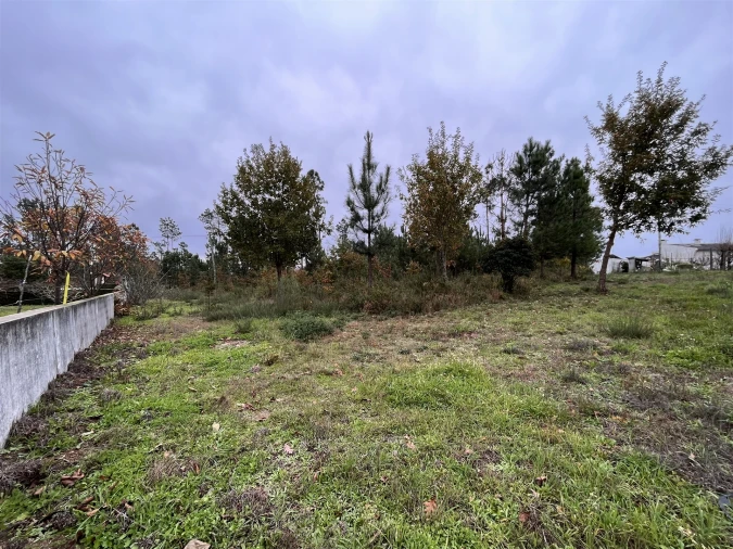 Terreno para Venda em Rio de Loba Foto 2