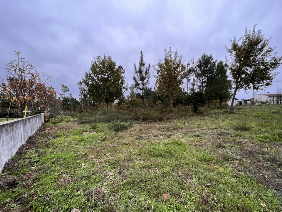 Terreno para Venda em Rio de Loba Foto 2