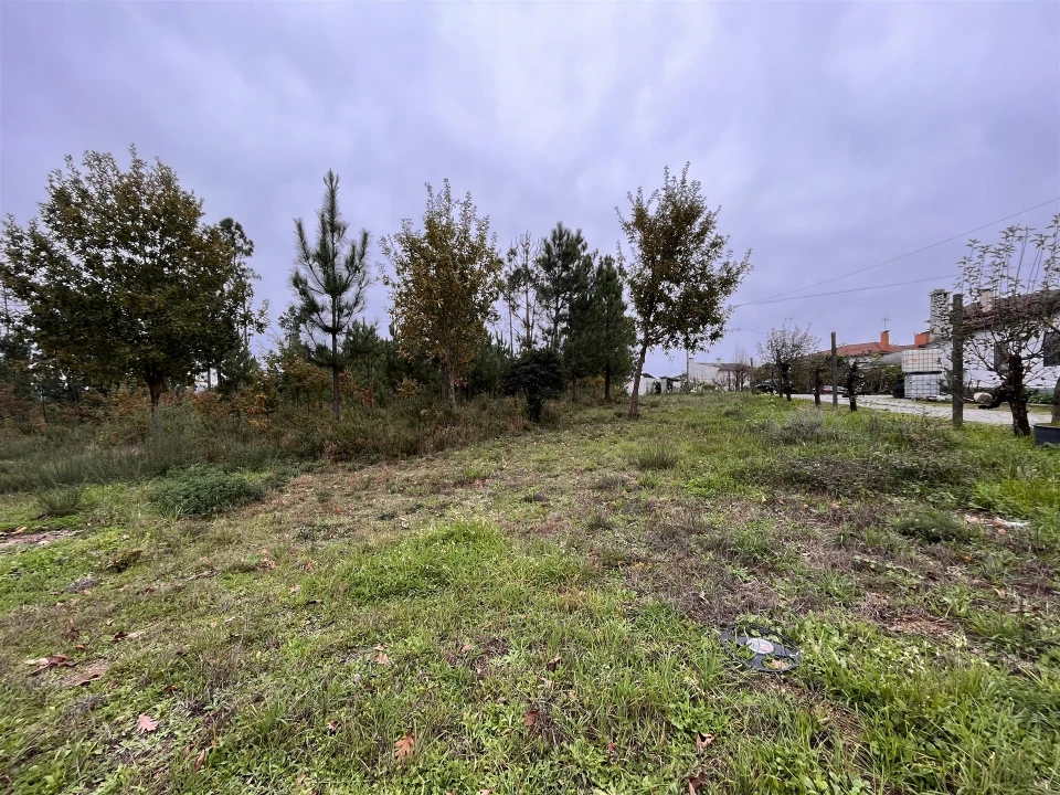 Terreno para Venda em Rio de Loba Foto 6
