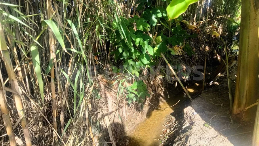Terreno para Venda em Salvaterra de Magos e Foros de Salvaterra Foto 7