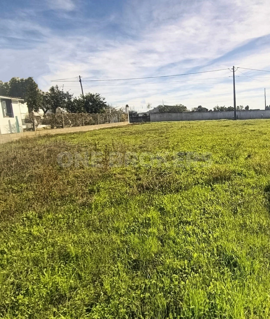 Terreno para Venda em Salvaterra de Magos e Foros de Salvaterra Foto 9