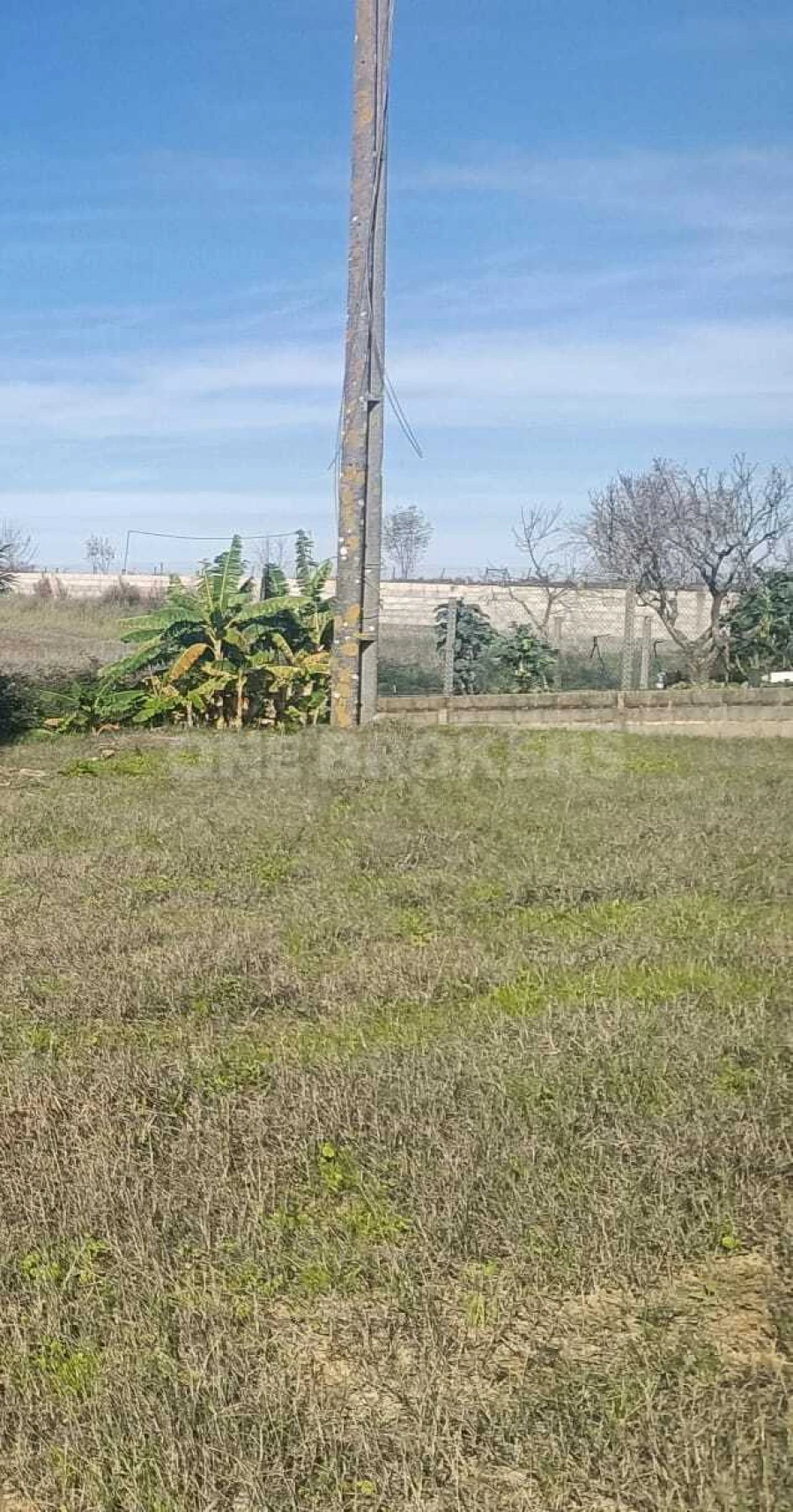 Terreno para Venda em Salvaterra de Magos e Foros de Salvaterra Foto 5