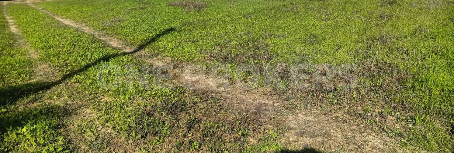 Terreno para Venda em Salvaterra de Magos e Foros de Salvaterra Foto 4