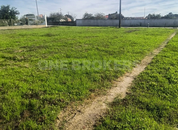 Terreno para Venda em Salvaterra de Magos e Foros de Salvaterra