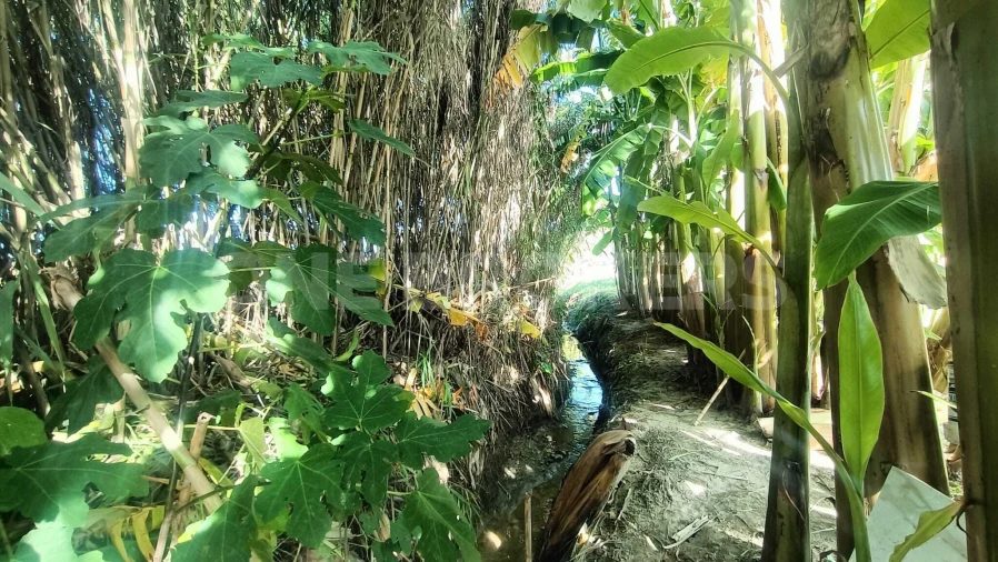 Terreno para Venda em Salvaterra de Magos e Foros de Salvaterra Foto 8