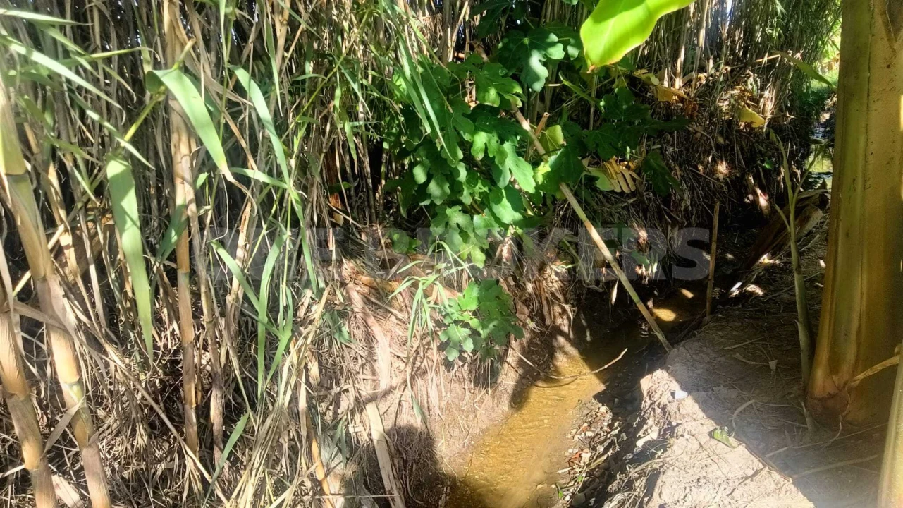Terreno para Venda em Salvaterra de Magos e Foros de Salvaterra Foto 7