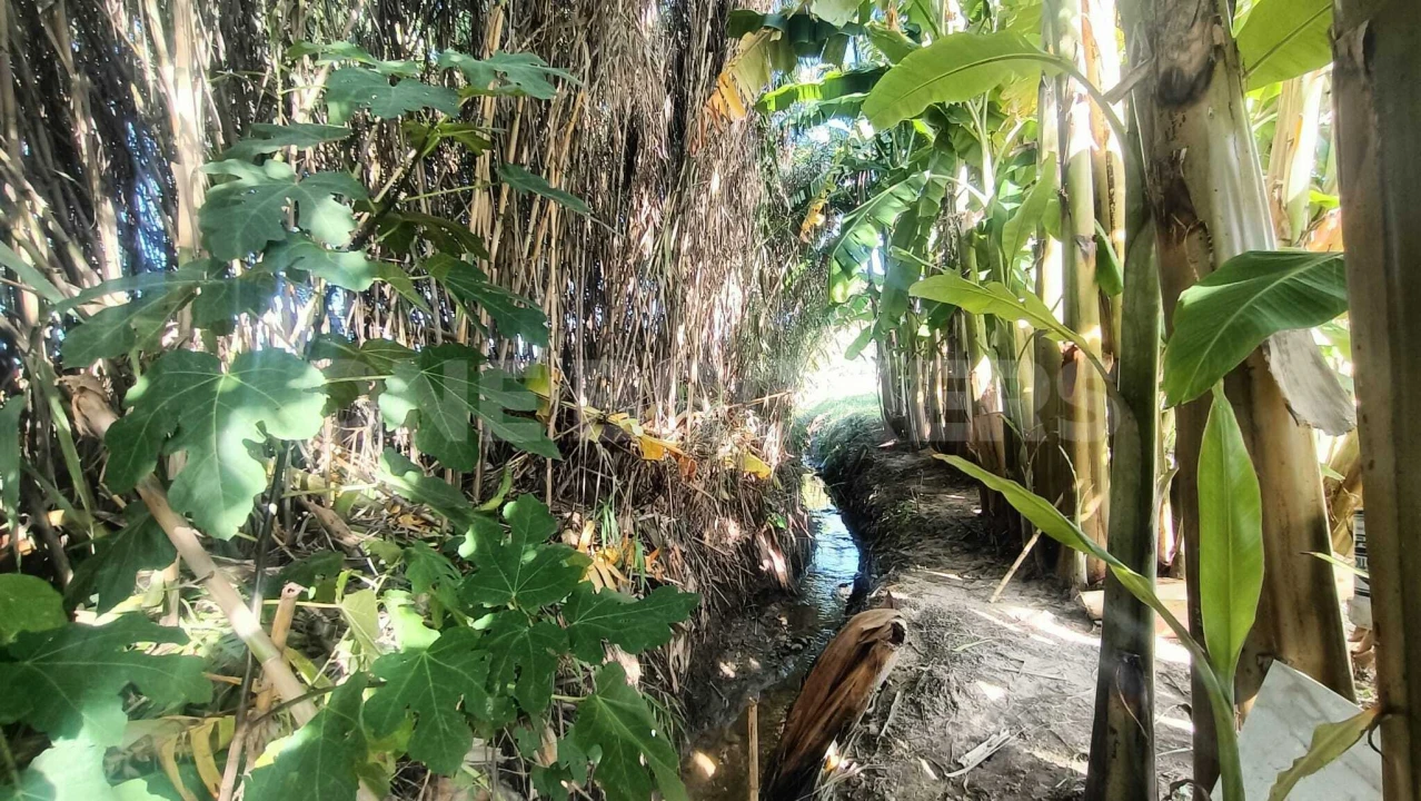 Terreno para Venda em Salvaterra de Magos e Foros de Salvaterra Foto 6