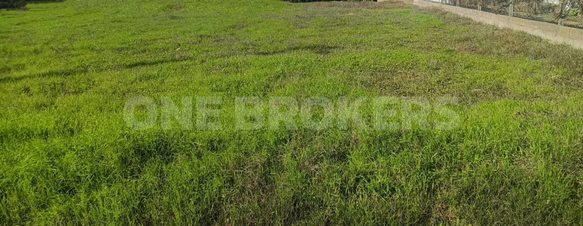 Terreno para Venda em Salvaterra de Magos e Foros de Salvaterra Foto 3