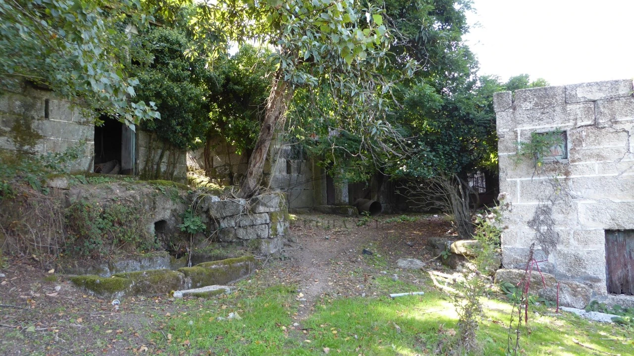 Quinta T6 para Venda em Várzea, Aliviada e Folhada Foto 3