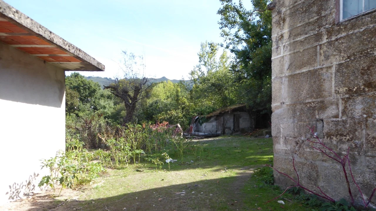 Quinta T6 para Venda em Várzea, Aliviada e Folhada Foto 6