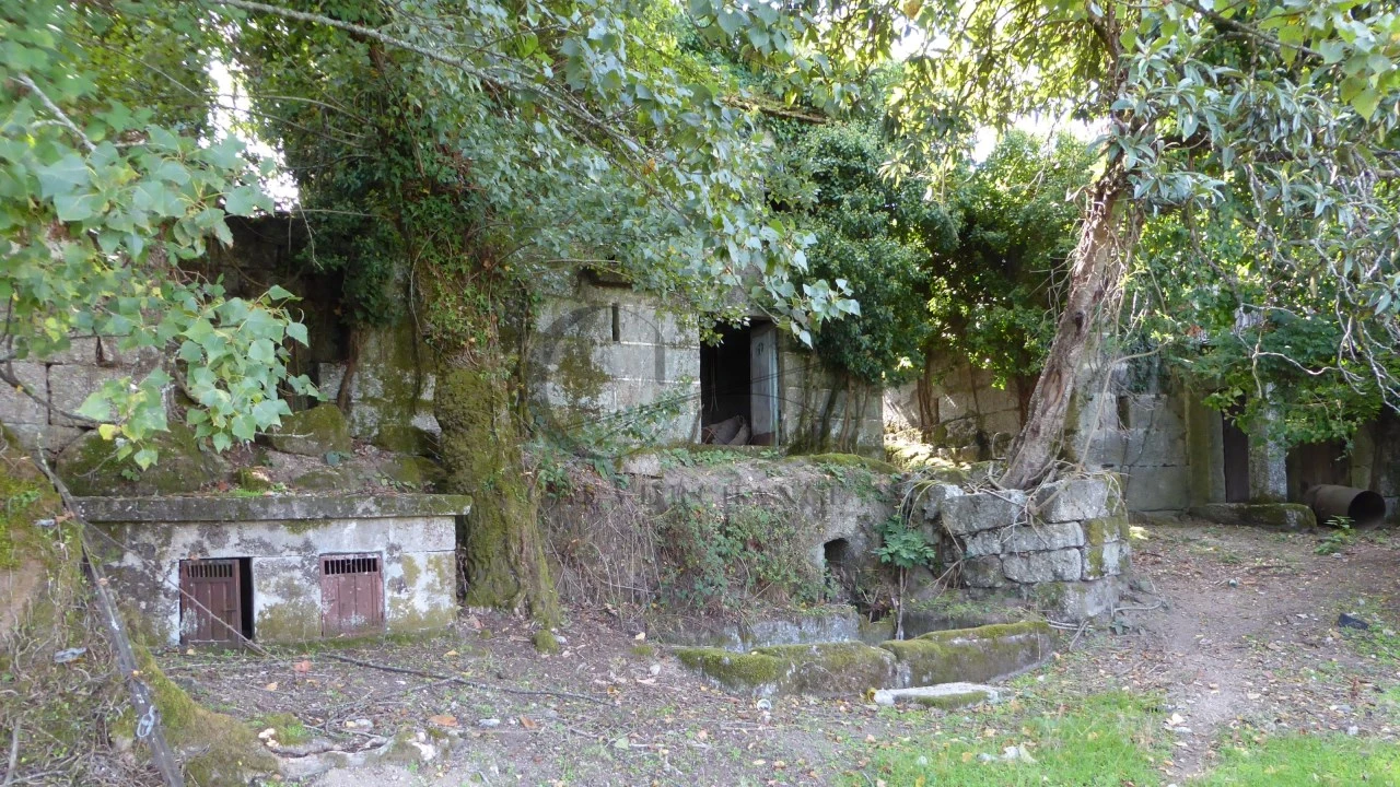Quinta T6 para Venda em Várzea, Aliviada e Folhada Foto 8