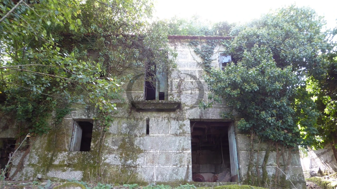 Quinta T6 para Venda em Várzea, Aliviada e Folhada Foto 9