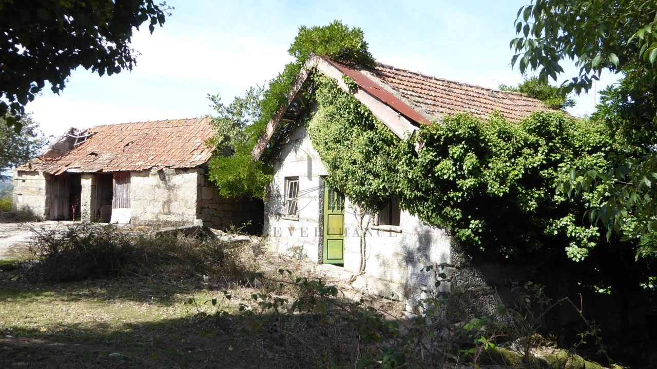 Quinta T6 para Venda em Várzea, Aliviada e Folhada Foto 10