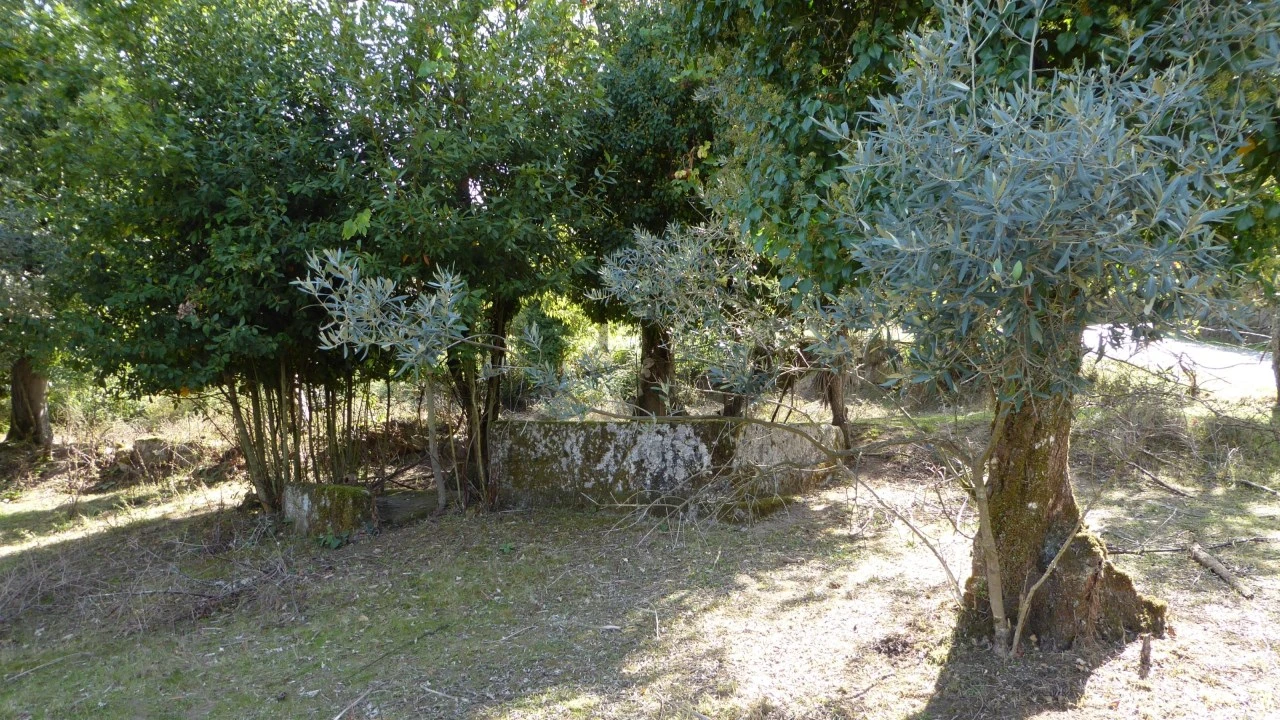 Quinta T6 para Venda em Várzea, Aliviada e Folhada Foto 14