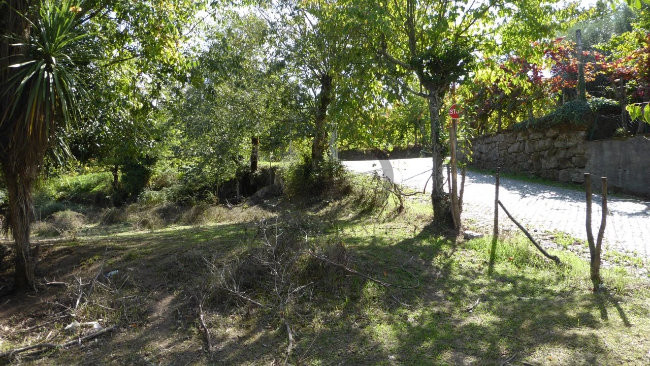 Quinta T6 para Venda em Várzea, Aliviada e Folhada Foto 15