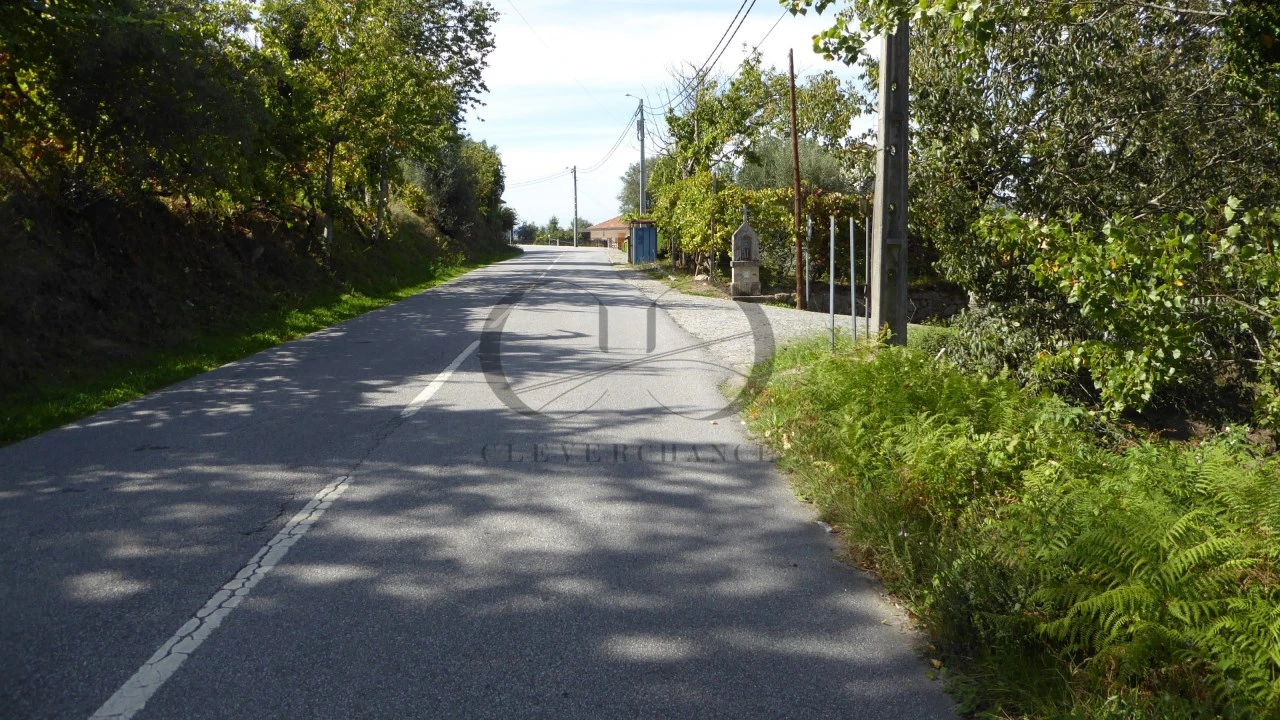 Quinta T6 para Venda em Várzea, Aliviada e Folhada Foto 16