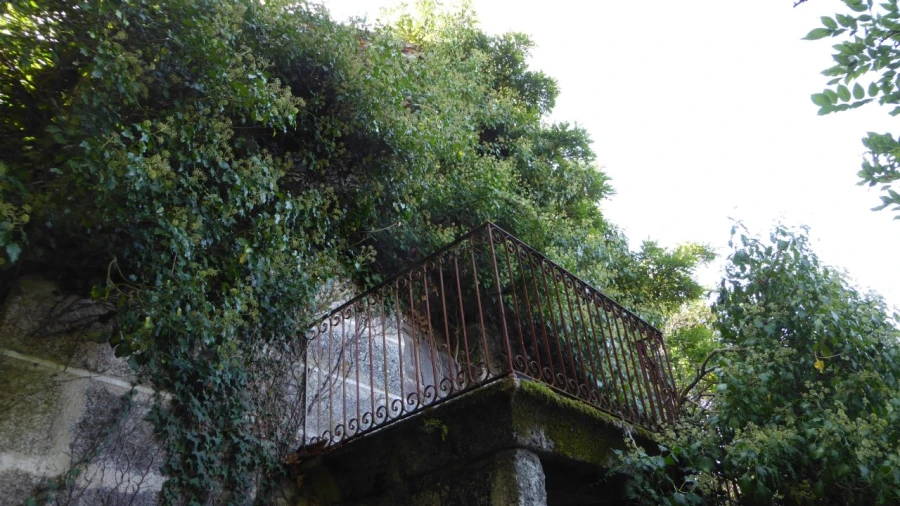 Quinta T6 para Venda em Várzea, Aliviada e Folhada Foto 2