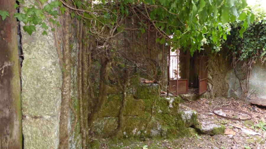 Quinta T6 para Venda em Várzea, Aliviada e Folhada Foto 4