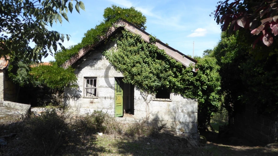 Quinta T6 para Venda em Várzea, Aliviada e Folhada Foto 5