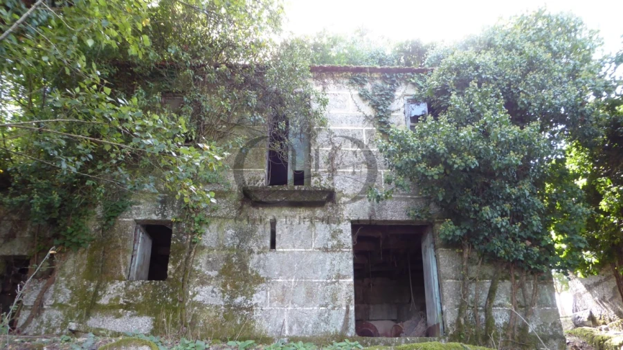 Quinta T6 para Venda em Várzea, Aliviada e Folhada Foto 9