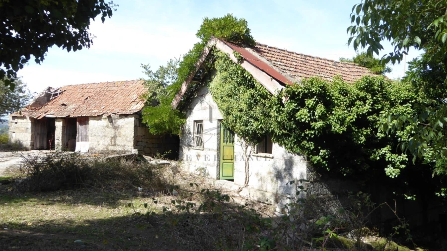 Quinta T6 para Venda em Várzea, Aliviada e Folhada Foto 10