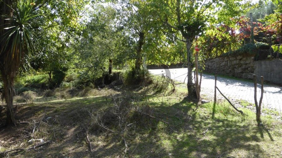 Quinta T6 para Venda em Várzea, Aliviada e Folhada Foto 15