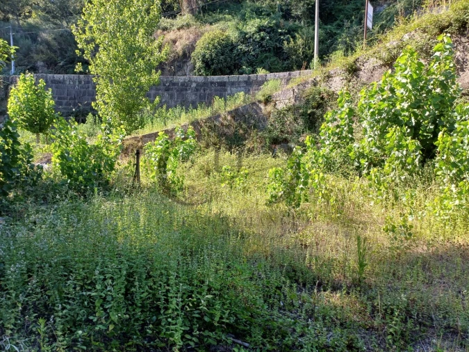 Terreno para Venda em Marco Foto 4