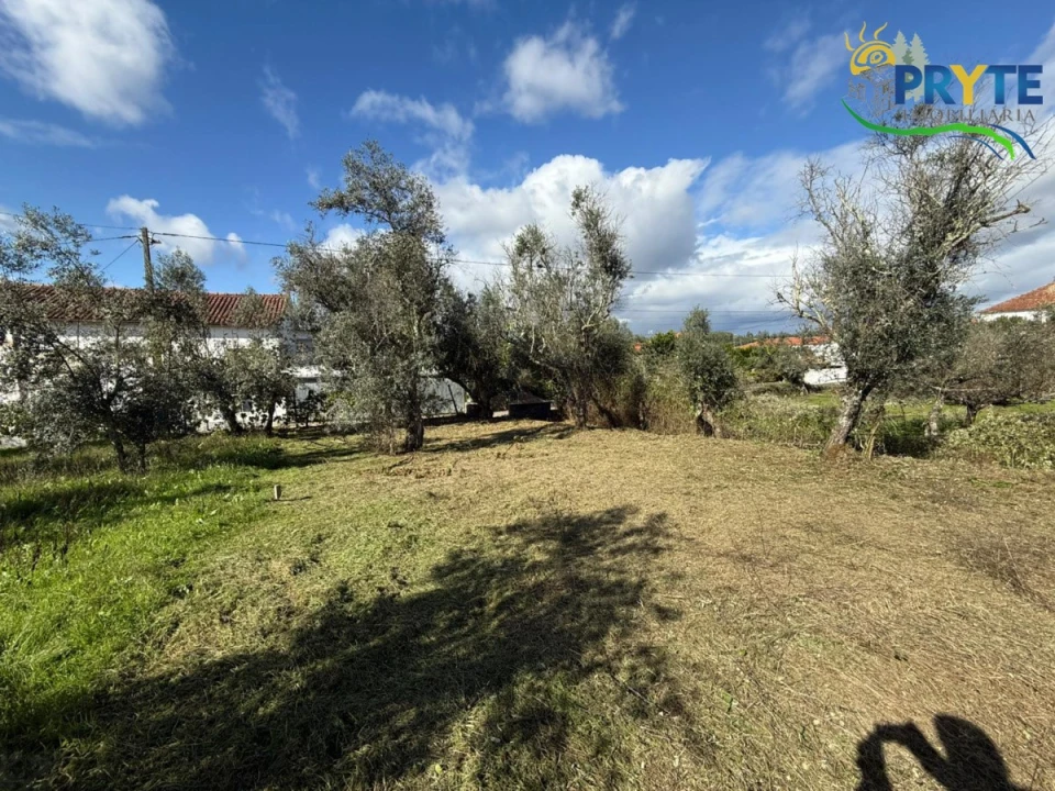Terreno para Venda em Cabeçudo Foto 4