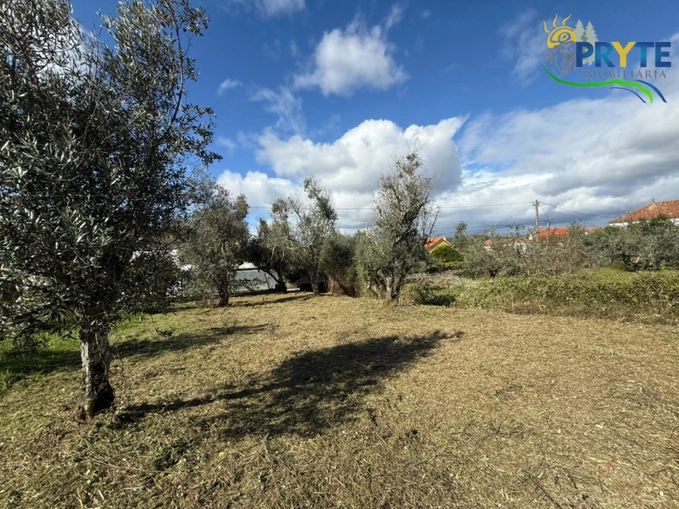 Terreno para Venda em Cabeçudo Foto 5