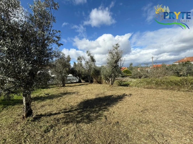 Terreno para Venda em Cabeçudo Foto 5