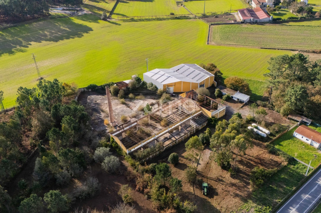 Terreno Comércio / Armazém para Venda em Mazarefes e Vila Fria Foto 3